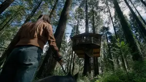 Backdrop to the movie "The Treehouse" #697652