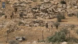 Backdrop to the movie "They Break the Tree of Peace" #548594
