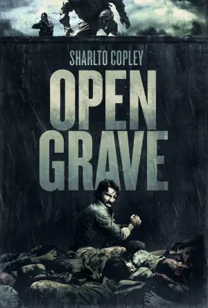 Poster to the movie "Open Grave" #346546
