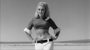 Backdrop to the movie "Faster, Pussycat! Kill! Kill!" #467257