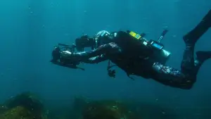 Backdrop to the movie "Sharks Up Close with Bertie Gregory" #792997