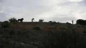 Backdrop to the movie "There Will Be Blood" #624075