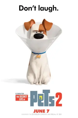Poster to the movie "The Secret Life of Pets 2" #32682