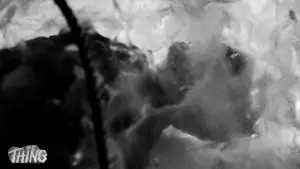 The Thing from Another World