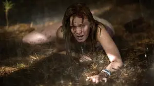 Backdrop to the movie "The Last House on the Left" #332833