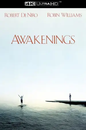 Poster to the movie "Awakenings" #754543