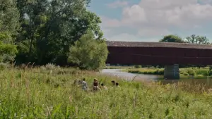 Backdrop to the movie "It" #567688