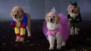 Backdrop to the movie "Spooky Buddies" #428683