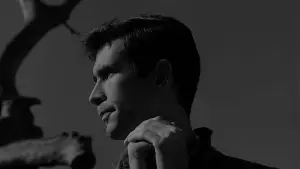 Backdrop to the movie "Psycho" #798817