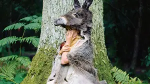 Backdrop to the movie "Donkey Skin" #483047