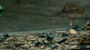 Backdrop to the movie "The Skin I Live In" #699181