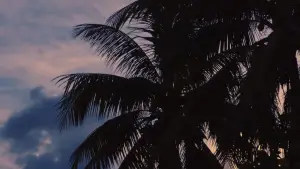 Backdrop to the movie "Waves" #844738