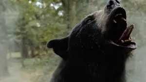 Backdrop to the movie "Cocaine Bear" #718949