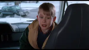 Backdrop to the movie "Home Alone 2: Lost in New York" #567210