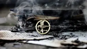 Backdrop to the movie "The Hunger Games: Catching Fire" #836243