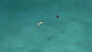 Backdrop to the movie "The Red Turtle" #211919