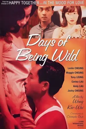 Poster to the movie "Days of Being Wild" #787947