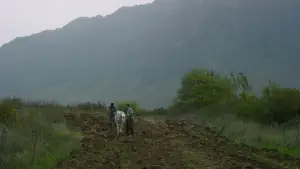 Backdrop to the movie "Saint Paisios" #542296