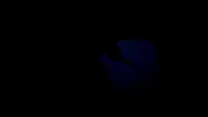 Backdrop to the movie "Sicario" #370482