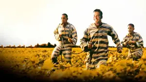 Backdrop to the movie "O Brother, Where Art Thou?" #810286