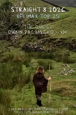 Poster to the movie "The Quest" #825153