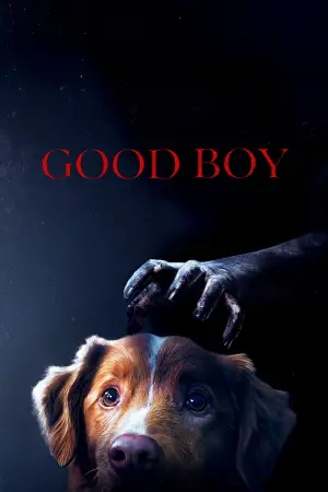 Poster to the movie "Good Boy" #517347