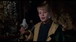 Backdrop to the movie "Home Alone 2: Lost in New York" #567062