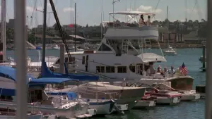 Backdrop to the movie "Pacific Heights" #296838