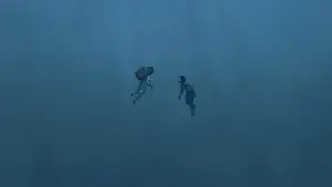 Backdrop to the movie "The Red Turtle" #211936