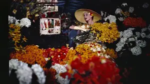 Backdrop to the movie "Funny Face" #711334