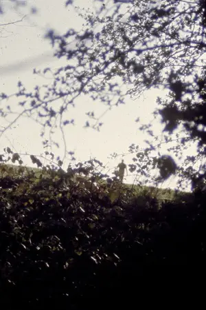 Poster to the movie "Body, remember..." #545839