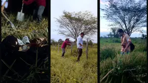 Backdrop to the movie "Malas Tierras" #746022