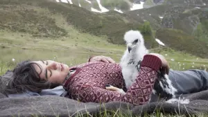 Backdrop to the movie "Brothers of the Wind" #342188