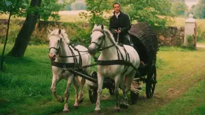 Backdrop to the movie "The Last Days" #726852