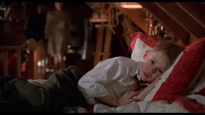 Backdrop to the movie "Home Alone 2: Lost in New York" #566970