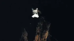 Backdrop to the movie "Reedland" #790223