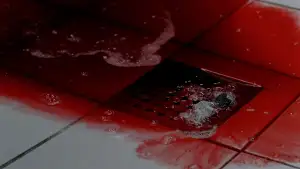 Backdrop to the movie "Wishing Stairs" #746622