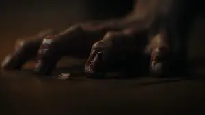 Backdrop to the movie "Wolf Man" #589251