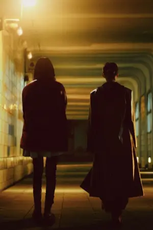 Poster to the movie "Project Y" #516952