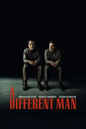 Poster to the movie "A Different Man" #592627