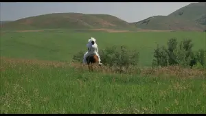 Napoleon Dynamite