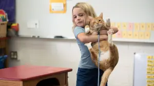 Backdrop to the movie "Gifted" #463632