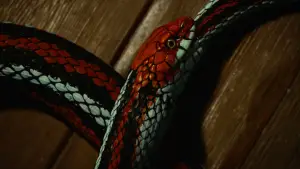 Backdrop to the movie "Queer" #584079