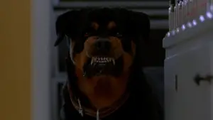 Backdrop to the movie "Ferris Bueller