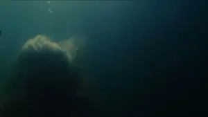 Backdrop to the movie "Aquamarine" #869291