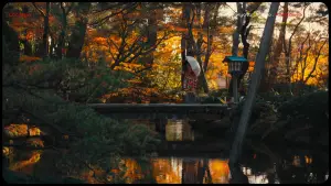 Backdrop to the movie "Lost in Japan" #571786