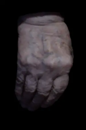 Poster to the movie "The Shell" #367210