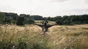 Backdrop to the movie "Bird" #610253