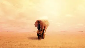 Backdrop to the movie "The Elephant Queen" #423849