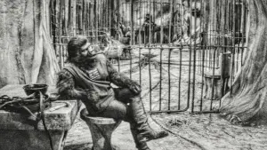 Backdrop to the movie "Planet of the Apes" #655673